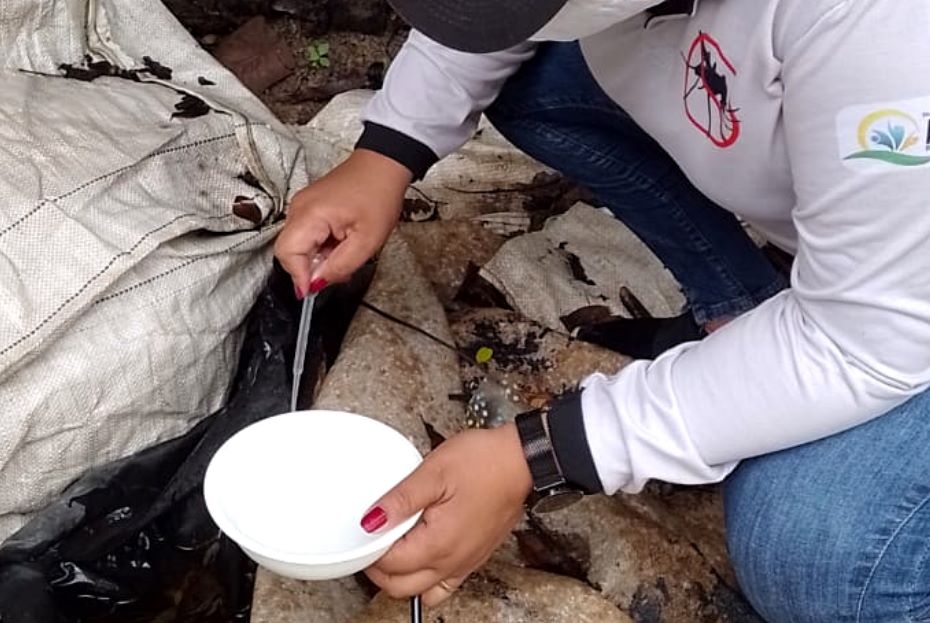 Alerta_para_infestação_de_Aedes_Arquivo_Ascom_Sesau.jpg