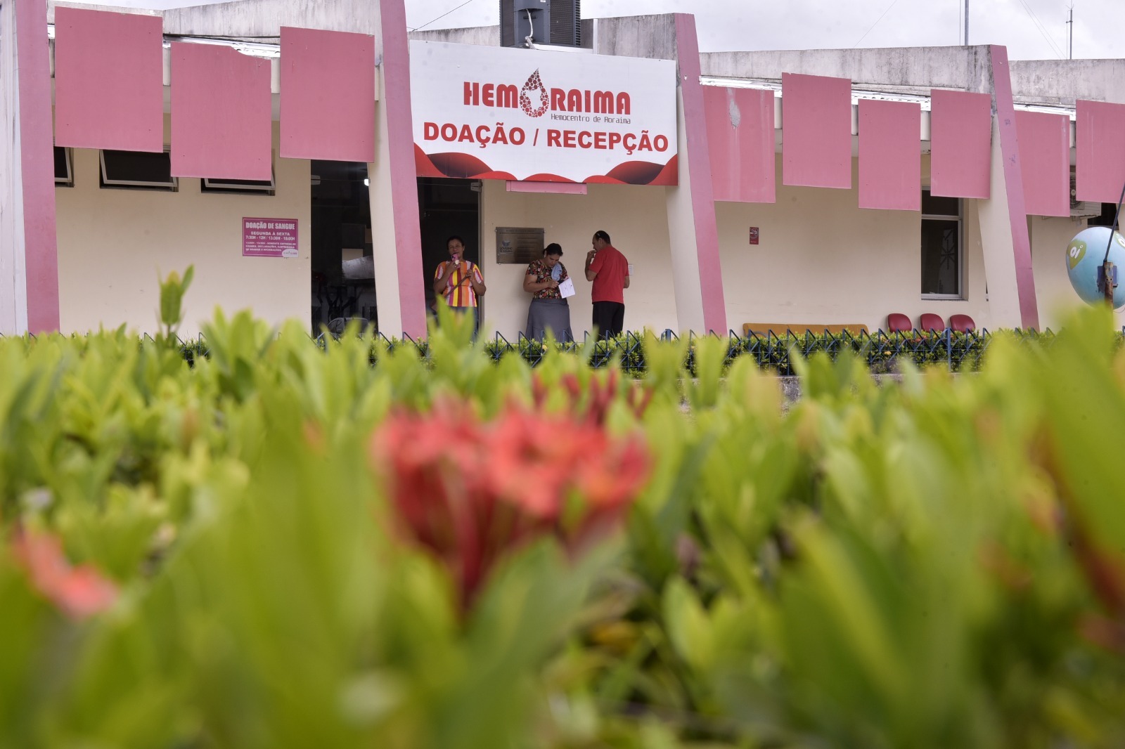  SALVANDO VIDAS - Hemoraima potencializa doação de reposição no HGR