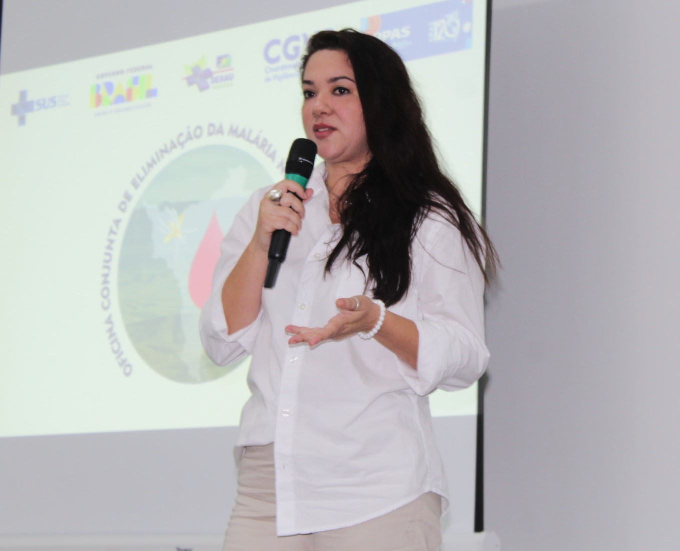Representantes de municípios roraimenses participam de 1ª Oficina Conjunta de Eliminação da Malária