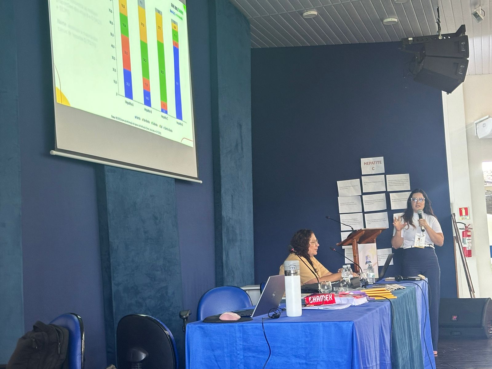 Oficina em Roraima discute linha de cuidados para hepatites virais