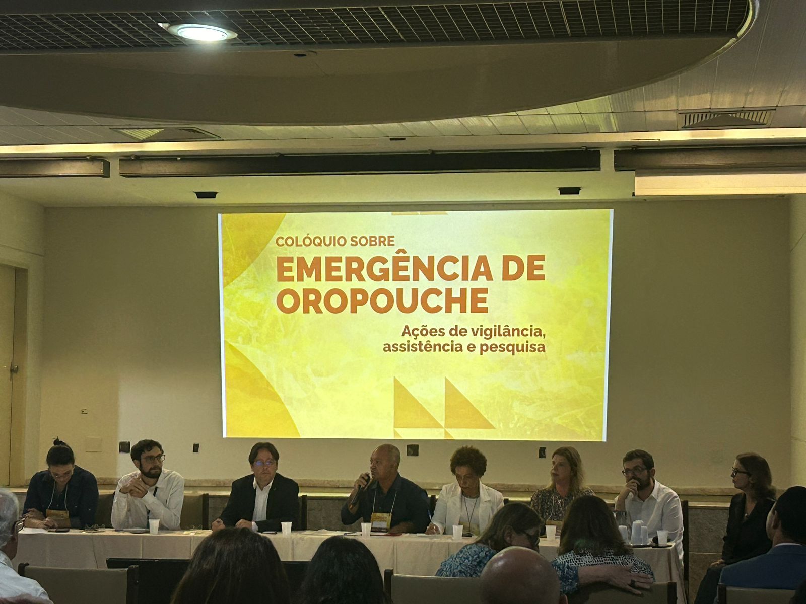 Seminário_sobre_a_vigilância_da_Febre_Oropouche_no_Espírito_Santo_Ascom_Sesau_3.jpeg